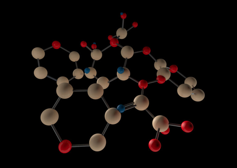 The Collagen Peptide Source Wars What Marine vs Bovine Marketing Gets Right, What It Overstates, and How Canadians Should Actually Choos